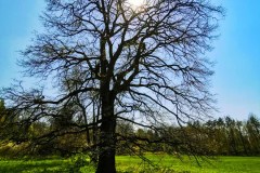 IMG_20190421_140440-01