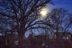 IMG_20210329_063024-01