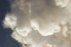 IMG_20210909_192122-01