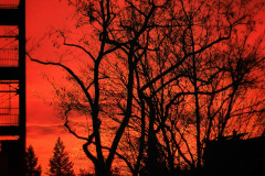 IMG_20221228_163005-01