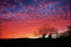 IMG_20231219_090852-01