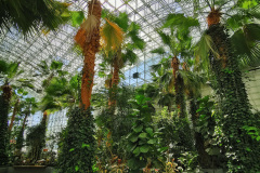 1_Day-1-Chicago-pic-103