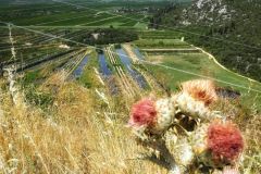 1_IMG_20220622_122116-01