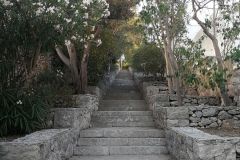 1_IMG_20220626_194547