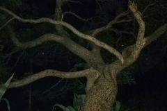 1_IMG_20220627_221450-02