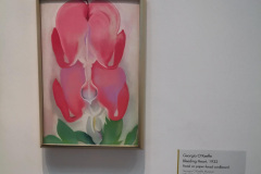 Day-10-Santa-Fe-pic-008