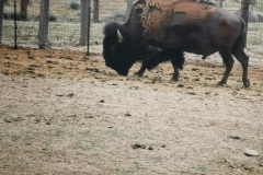 Day-10-Santa-Fe-pic-061