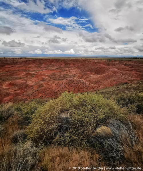 Day-11-Holbrook-pic-023