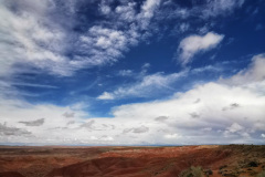 Day-11-Holbrook-pic-019