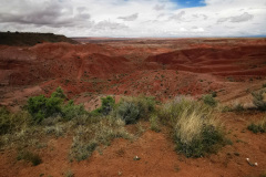 Day-11-Holbrook-pic-020