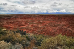 Day-11-Holbrook-pic-022