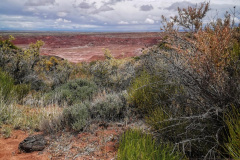 Day-11-Holbrook-pic-024