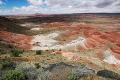 Day-11-Holbrook-pic-030