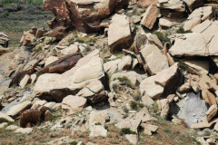 Day-11-Holbrook-pic-037