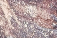 Day-11-Holbrook-pic-038