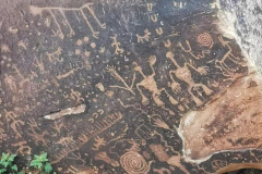 Day-11-Holbrook-pic-041