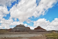 Day-11-Holbrook-pic-043