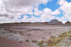 Day-11-Holbrook-pic-044