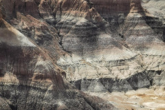 Day-11-Holbrook-pic-052