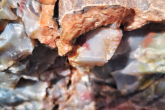 Day-11-Holbrook-pic-054