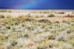 Day-11-Holbrook-pic-056