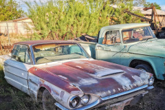 Day-11-Holbrook-pic-060