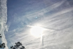 Day-12-Grand-Canyon-pic-032