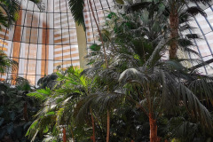 Day-13-Las-Vegas-pic-095