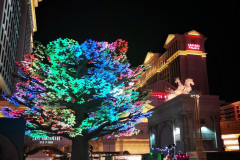 Day-13-Las-Vegas-pic-111