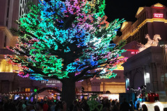 Day-13-Las-Vegas-pic-112