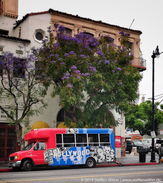 Day-14-LA-pic-036