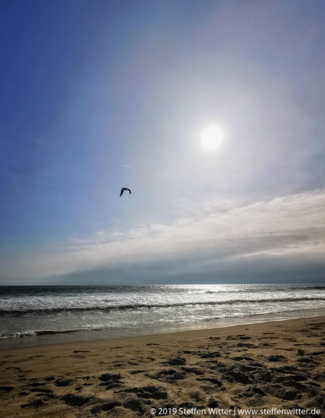 Day-14-LA-pic-051