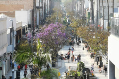 Day-14-LA-pic-024