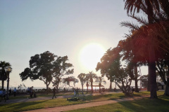 Day-14-LA-pic-026