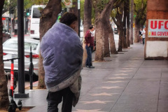 Day-14-LA-pic-032