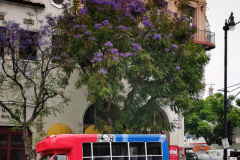 Day-14-LA-pic-036