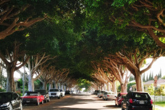 Day-14-LA-pic-055