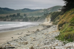 Day-15-Monterey-pic-007