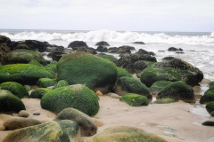 Day-15-Monterey-pic-009