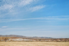 Day-15-Monterey-pic-012