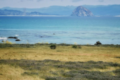 Day-15-Monterey-pic-015