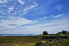 Day-15-Monterey-pic-016
