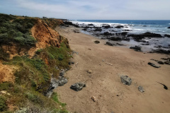 Day-15-Monterey-pic-018