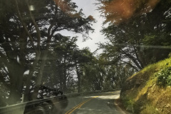 Day-15-Monterey-pic-022