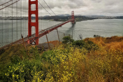 Day-16-San-Francisco-pic-020