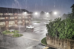 Day-3-St-Louis-pic-060