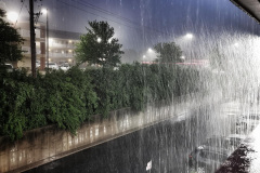 Day-3-St-Louis-pic-061