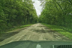 Day-4-Springfield-pic-009