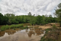 Day-4-Springfield-pic-013