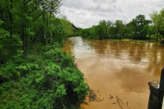 Day-4-Springfield-pic-016